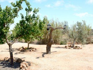Jardines exteriores con árboles y flores en la finca Olivos de Noja